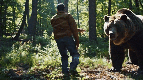 Bear Fighting GIF by Chess.com