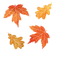 Sparkling_peanuts fall yellow orange canada Sticker