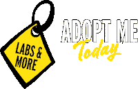 Adopt Me Sticker by LabsAndMore