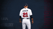 Pro GIF by USA Baseball