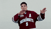 ncaasports hockey college ncaa ice GIF