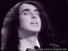 tulips tiptoe GIF