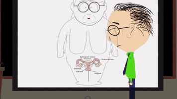 Voluptuous Fallopian Tube