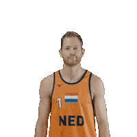 Dutch Team Beach Sticker by Nevobo