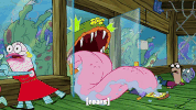 season 9 episode 26 GIF by SpongeBob SquarePants