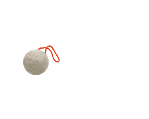 BearpawProducts giphyupload football fun yeah Sticker