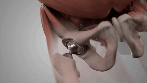 franciscosanchezcazeres giphyupload GIF