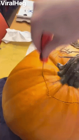 Amazing Pumpkin Carving Of Adele GIF by ViralHog