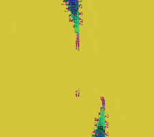 GIF by Leo Pyrata
