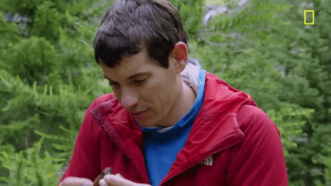 Bear Grylls GIF by National Geographic Channel