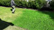 Endurant Show GIF by ENDURANT TURF PAINT