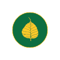 Leaf Nepal Sticker by Umesh Maharjan
