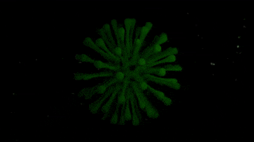 Close Up Virus GIF
