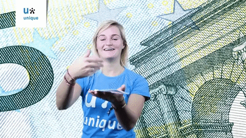 UniqueNederland giphyupload euro geld euros GIF