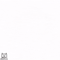 Laugh Lol GIF