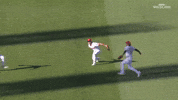 Slam Dunk Baseball GIF by MLB