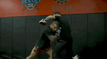 ufc sports sport ufc mma GIF