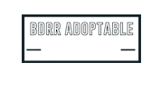 Rescue Dog Adopt Me Sticker by Big Dog Ranch Rescue