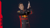 Red Bull F1 GIF by Red Bull Racing