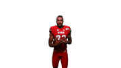 Utah Utes Sticker by Utah Football