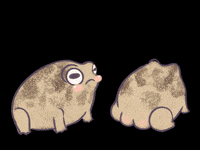 Katsadorkable frogs adorkablegifs katsadorkabledoodles GIF