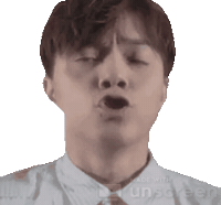 張敬軒 Hello Sticker