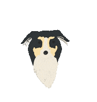 Shasta Sticker