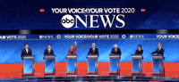 Democratic Debate GIF by GIPHY News