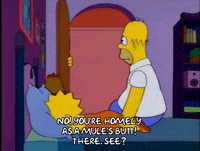 homer simpson GIF