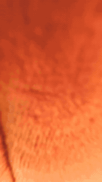 Youtoozfigure GIF by Youtooz