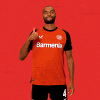 Bayer 04 Love GIF by Bayer 04 Leverkusen