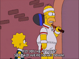 homer simpson GIF