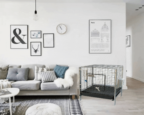 Zincera giphygifmaker GIF