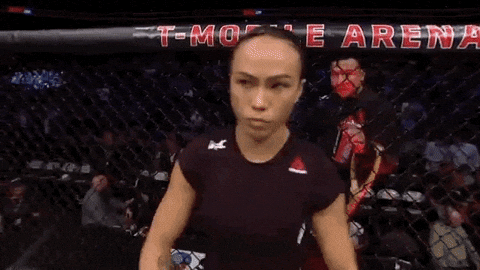 ufc 229 sport GIF by UFC