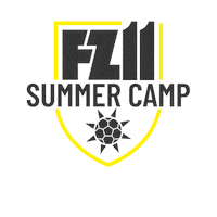 Soccer Summer Sticker by FZ11