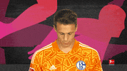 Schalke S04 GIF by Bundesliga
