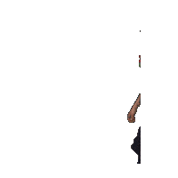 Futbol Ecuador Sticker by Ecuabet