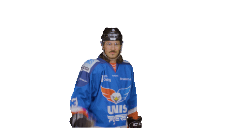 Goal Eagles Sticker by UNIS Flyers