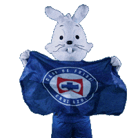 Liga Mx Soccer Sticker by Club de Futbol Cruz Azul