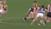 Sam Walsh GIF by Carlton Football Club