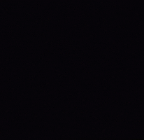 Happy Birthday Party GIF