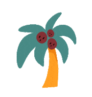 Palm Tree Coconuts Sticker by Nuby USA