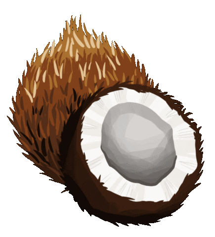 Coconut Kokosnuss Sticker by pandoo