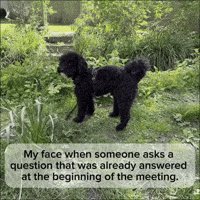 Question Troubleshooting GIF