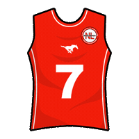 mustangsnl flagfootball tochito ifaf fmfa Sticker