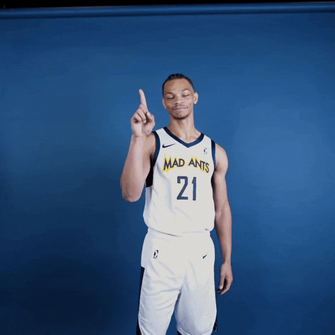 themadants basketball no nba nope GIF