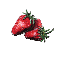 illustration strawberry Sticker by Famee DESIGN AGENTUR