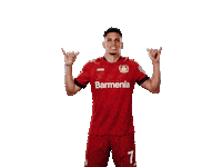 Bayer 04 Win Sticker by Bayer 04 Leverkusen