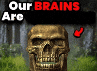 Skyrim GIF by Casa Misiones