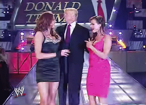 donald trump wwe GIF by Election 2016